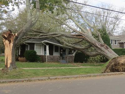 Reports of flooding, downed trees, and damage caused by wind -- such as trees falling on houses or cars -- comprise the vast majority of calls to local insurance agencies. Reports of flooding, downed trees, and damage caused by wind -- such as trees falling on houses or cars -- comprise the vast majority of calls to local insurance agencies.