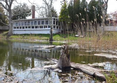 Georgica Pond's headwaters near Osteria Salina in Wainscott earlier this spring. The presence of cyanobacteria, which can have harmful health affects in both humans and animals, led to the closing of the pond on Friday. Georgica Pond's headwaters near Osteria Salina in Wainscott earlier this spring. The presence of cyanobacteria, which can have harmful health affects in both humans and animals, led to the closing of the pond on Friday.