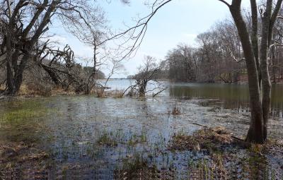 Georgica Pond near Montauk Highway in East Hampton Georgica Pond near Montauk Highway in East Hampton