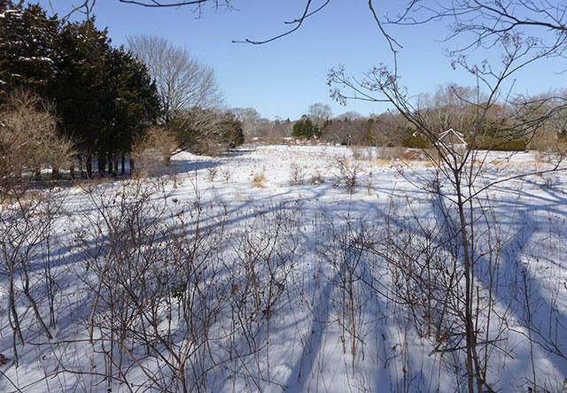 Jay-Z and Beyoncé, who bought a house Briar Patch Road in East Hampton last year, object to a house and swimming pool planned on an adjacent property that their attorney says will block their view of the preserved field that both properties abut.