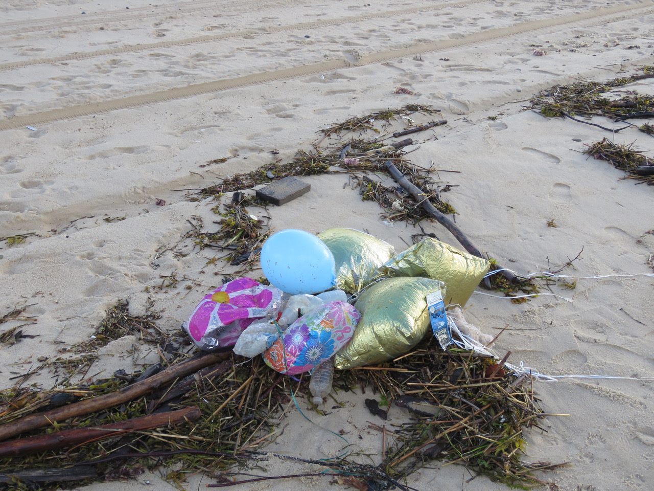 Environmental groups have urged town officials to ban intentional releasing of balloons because of the risk it poses to marine and wildlife.