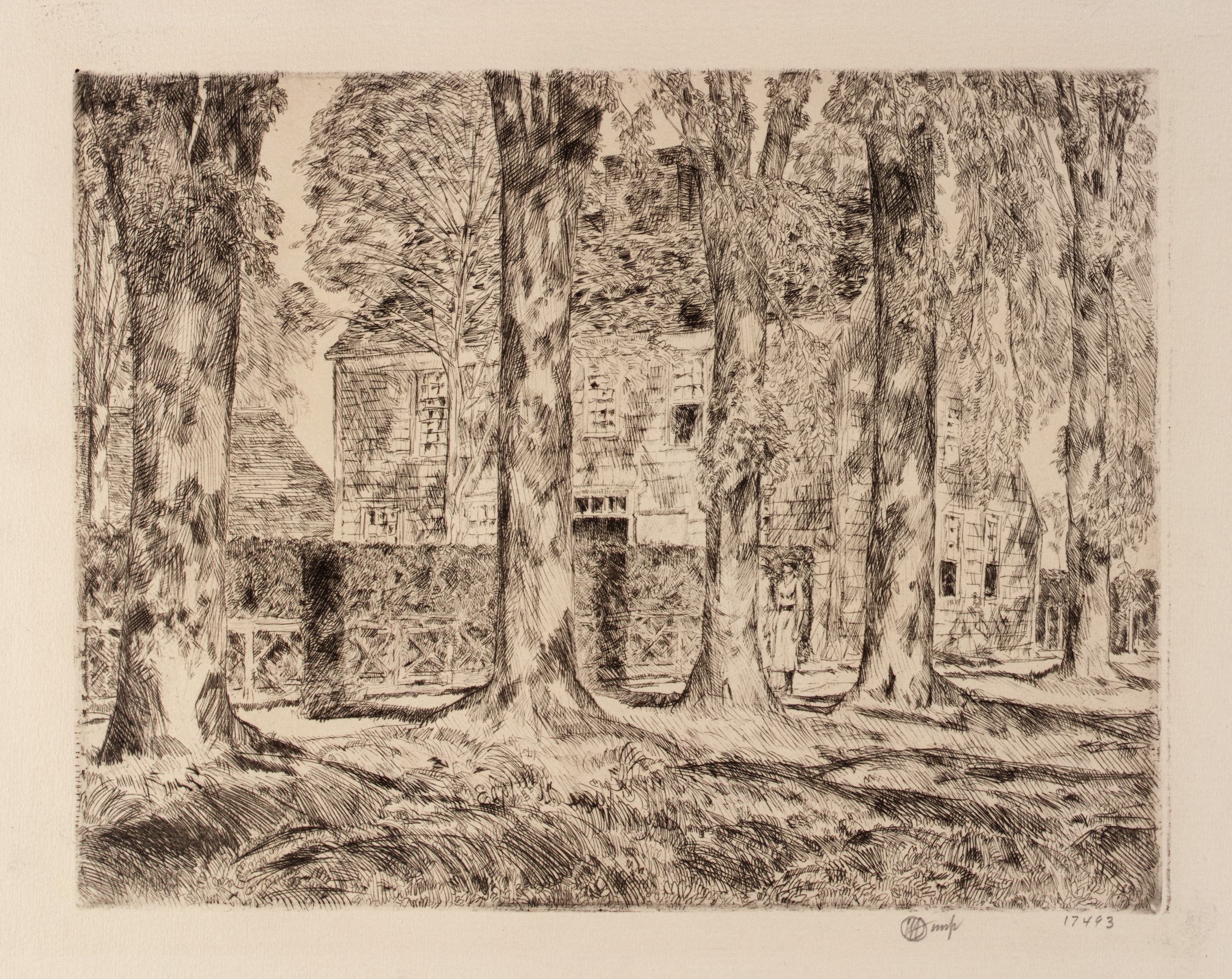  An etching by Childe Hassam: "The Village Elms," Easthampton (1923).
