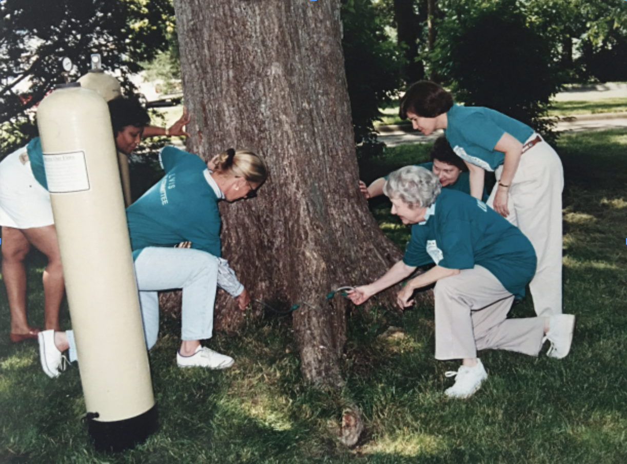 Members of the L.V.I.S. tree committee in the 1980s administer an infusion of anti-fungal as part of the organization’s long-running battle against Dutch elm disease, which has killed native elms around the country since the thirties.