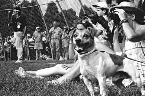 Emotions always run high at the Artists-Writers Softball Game. Eric Ernst is in the on-deck circle.