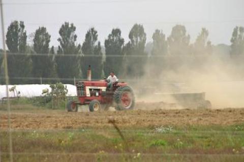 Long before harvesting begins, local community supported agricultural programs use prepaid memberships to pay for seeds and other planting expenses at places like Balsam Farms.