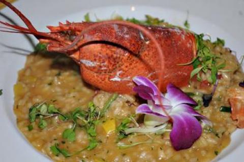 Lobster risotto at Manna