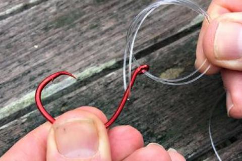 A Palomar knot is tied before being cinched tight to a hook eye.