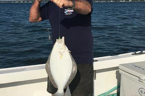 After pulling up a large chowder clam that had clamped onto his hook, Ray Sperling culled a 21-inch keeper fluke in Southold Bay.