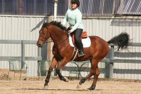 Kailee Brabant and her leased 10-year-old warmblood, Gio, were put through their paces by her trainer, Marisa Bush, in Stony Hill’s Classic-size ring Saturday morning.