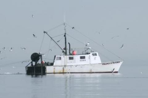 A commercial dragger working off Montauk in 2016