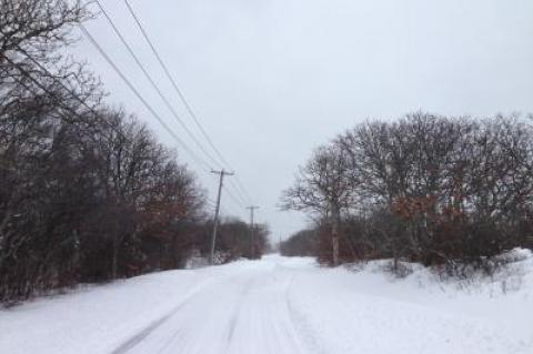 Cranberry Hole Road in Amagansett Tuesday morning