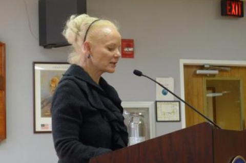 "I've seen and heard nothing to substantiate the use of light sources at 3,500 Kelvin," Susan Harder, the New York State representative of the International Dark Sky Association, told the board.