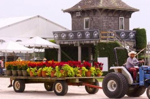 Soon horses will be the chief means of conveyance at the Classic’s 60-acre showgrounds.