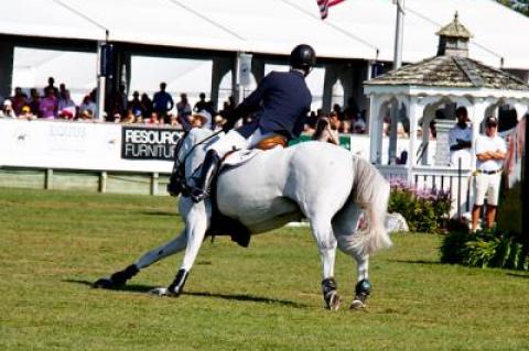 HH Gigi’s Girl, whom McLain Ward has ridden for a little more than a year, has shown with recent results that she has “turned the corner” — as is evident above in the Hampton Classic’s Grand Prix that they won Sunday.
