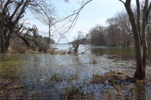 Georgica Pond near Montauk Highway in East Hampton