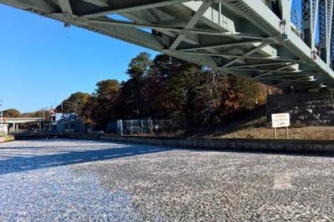 The Shinnecock Canal was filled with bunker fish before the locks were open at 9:30 Monday morning.
