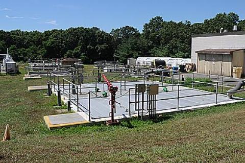 Odors from East Hampton Town’s septic waste treatment plant on Springs-Fireplace Road are wrinkling noses this summer, as the town board is faced with environmental violations there and deciding whether to lease, close, or upgrade the aging facility.