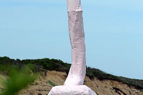A phallic sculpture by the late Franz West has appeared at the edge of a Montauk bluff.