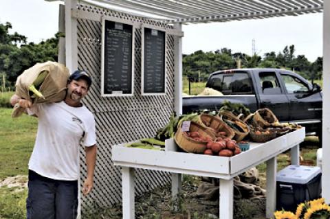 John Domanic, one of the owners of the Little Dog farm stand on Pantigo Road, hauled a sack of corn on Saturday. He reported having two sacks of corn, along with other produce, stolen in the overnight hours. John Domanic, one of the owners of the Little Dog farm stand on Pantigo Road, hauled a sack of corn on Saturday. He reported having two sacks of corn, along with other produce, stolen in the overnight hours.