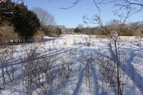 Jay-Z and Beyoncé, who bought a house Briar Patch Road in East Hampton last year, object to a house and swimming pool planned on an adjacent property that their attorney says will block their view of the preserved field that both properties abut.