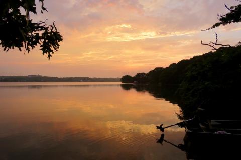 Though Fort Pond is beautiful to behold, Concerned Citizens of Montauk continues to advise people (and pets) to avoid contact with its waters, as a cyanobacteria bloom persists in certain parts of the pond. Though Fort Pond is beautiful to behold, Concerned Citizens of Montauk continues to advise people (and pets) to avoid contact with its waters, as a cyanobacteria bloom persists in certain parts of the pond.