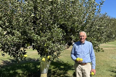 After a walk through the orchard, Robert Hefner brought out to his back porch his two-volume set of "The Apples of New York" and a platter of Grimes Golden and Cox's Orange Pippin slices.