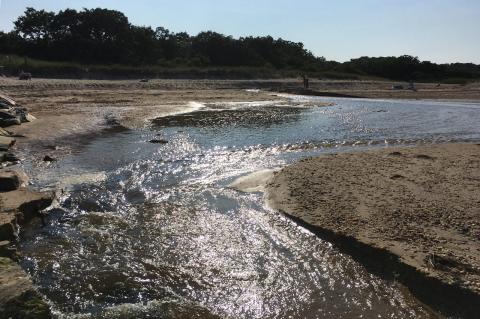 Fresh Pond, Amagansett