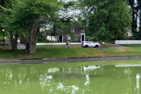 Town Pond, East Hampton