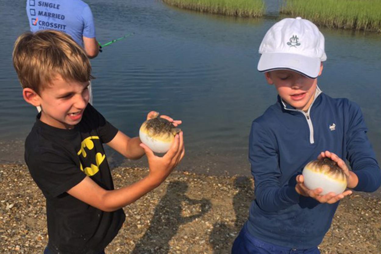 On The Water Blowfish Steal The Show The East Hampton Star On The Water Blowfish Steal The Show The East Hampton Star