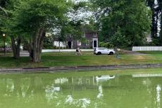 Town Pond, East Hampton