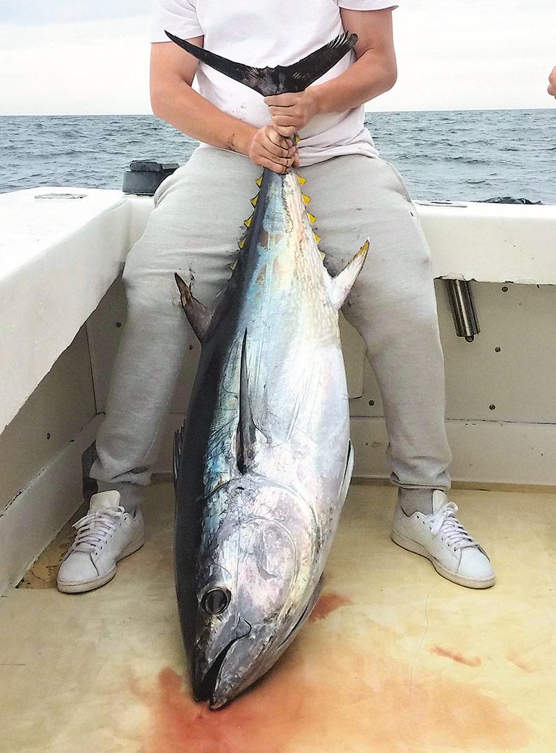 Light-Tackle Bluefin Tuna Fishing - On The Water